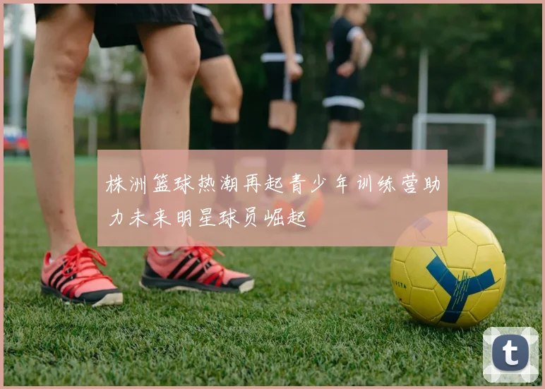 株洲篮球热潮再起青少年训练营助力未来明星球员崛起