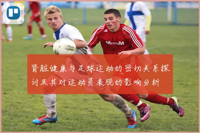 肾脏健康与足球运动的密切关系探讨及其对运动员表现的影响分析