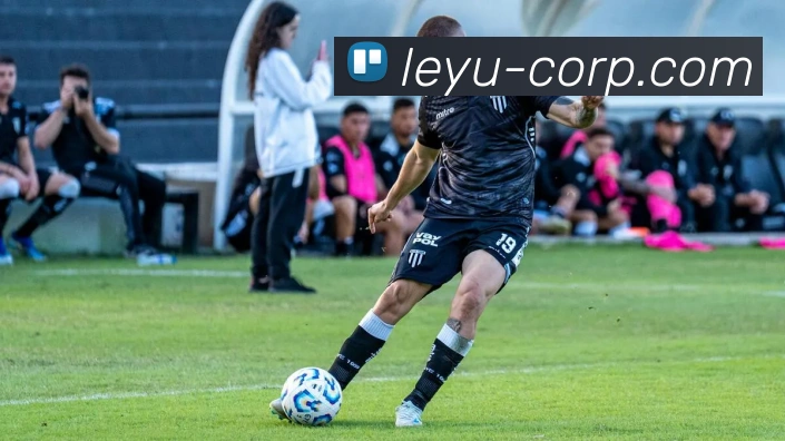 乐鱼集团发展历程